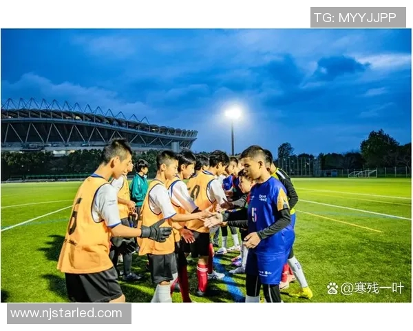 中国足球青训难以培养顶级球星的深层原因与对策分析