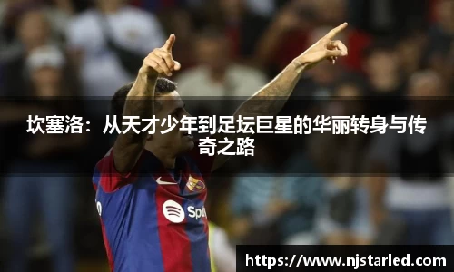 PA视讯平台