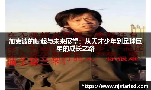 PA视讯平台